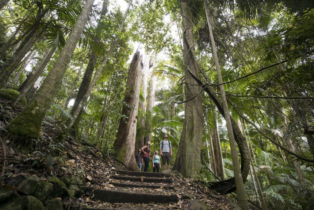Murwillumbah Guesthouse Yha Esterno foto